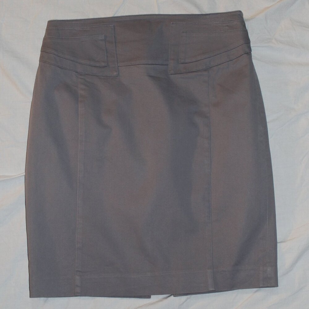 Express Pencil Skirt Dusty Lavender/Lilac Purple Lined Panel Detail/Back Cinch